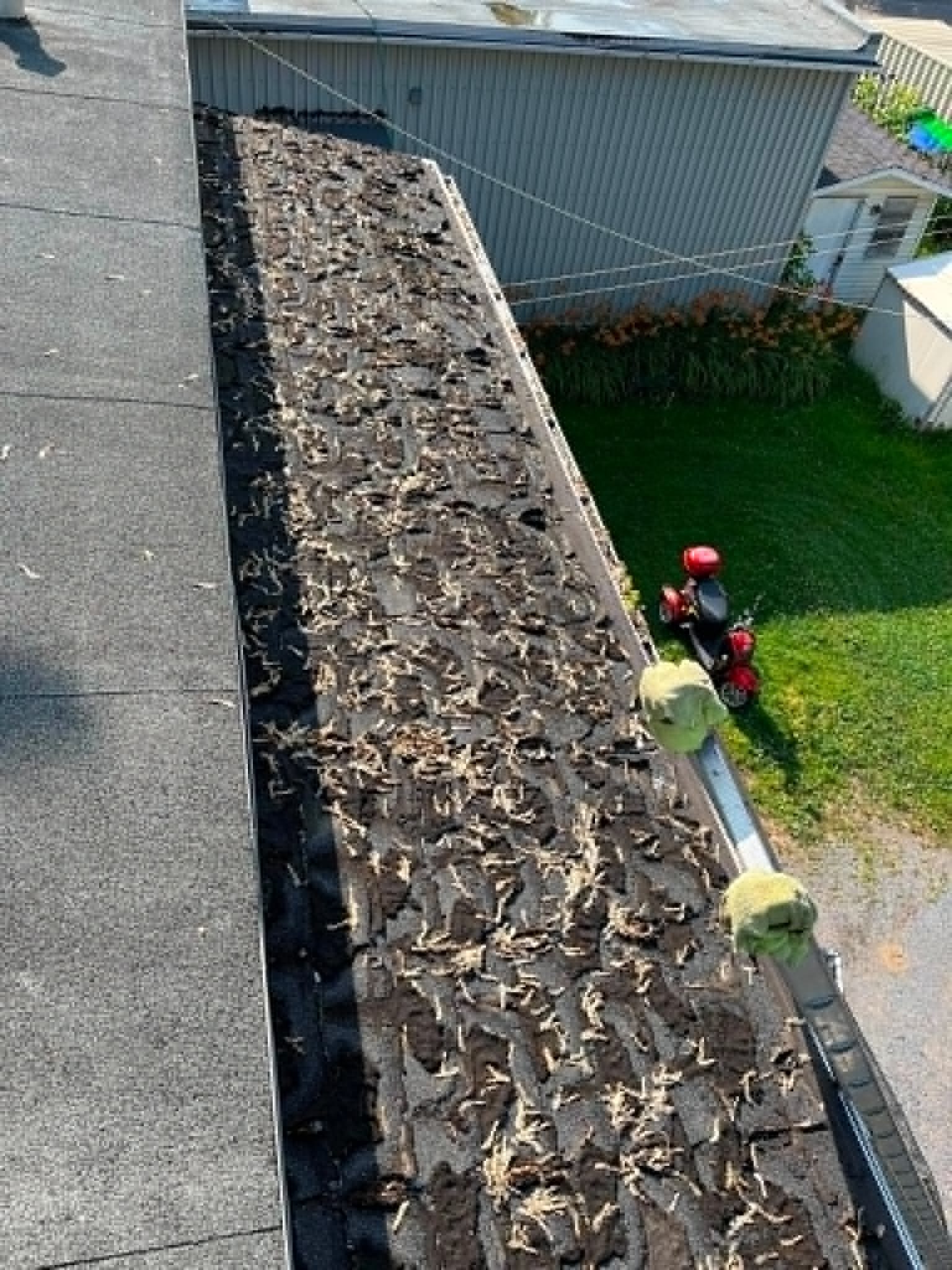 Noue de toiture obstruée par des débris avant réfection
