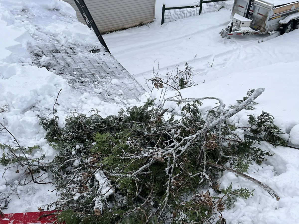 Branche tombée sur une propriété après une tempête hivernale